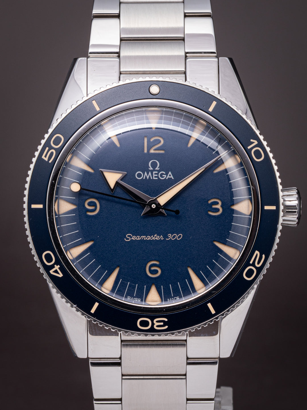 Omega Stainless Steel Seamaster 300 (234.30.41.21.03.001)