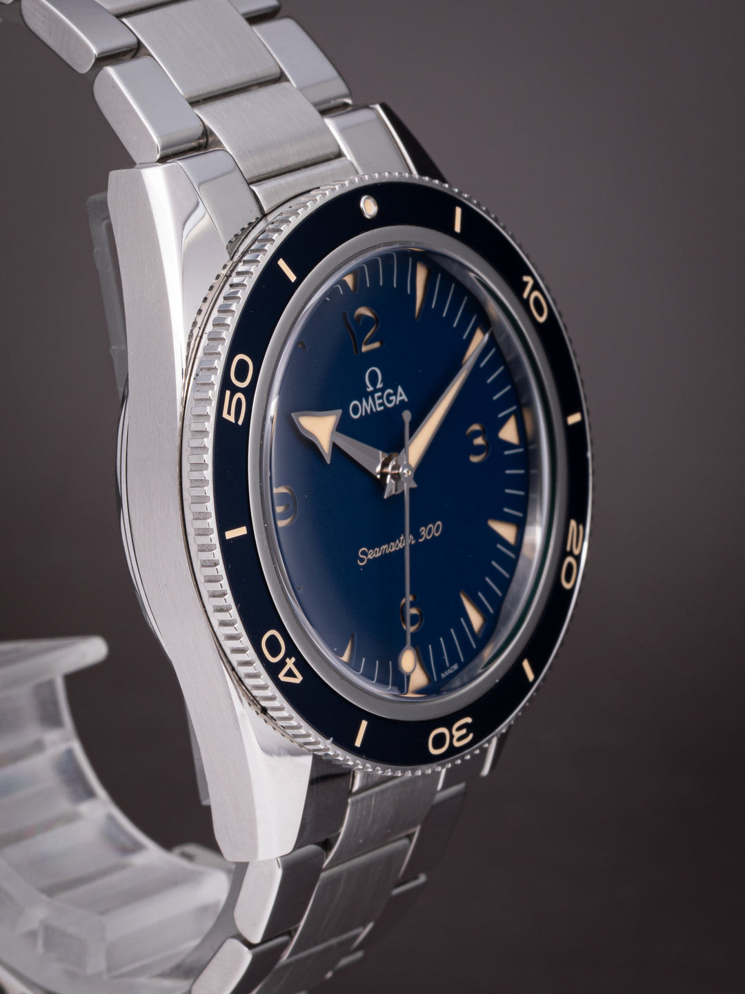 Omega Stainless Steel Seamaster 300 (234.30.41.21.03.001)