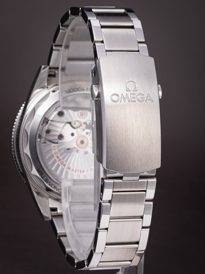 Omega Stainless Steel Seamaster 300 (234.30.41.21.03.001)