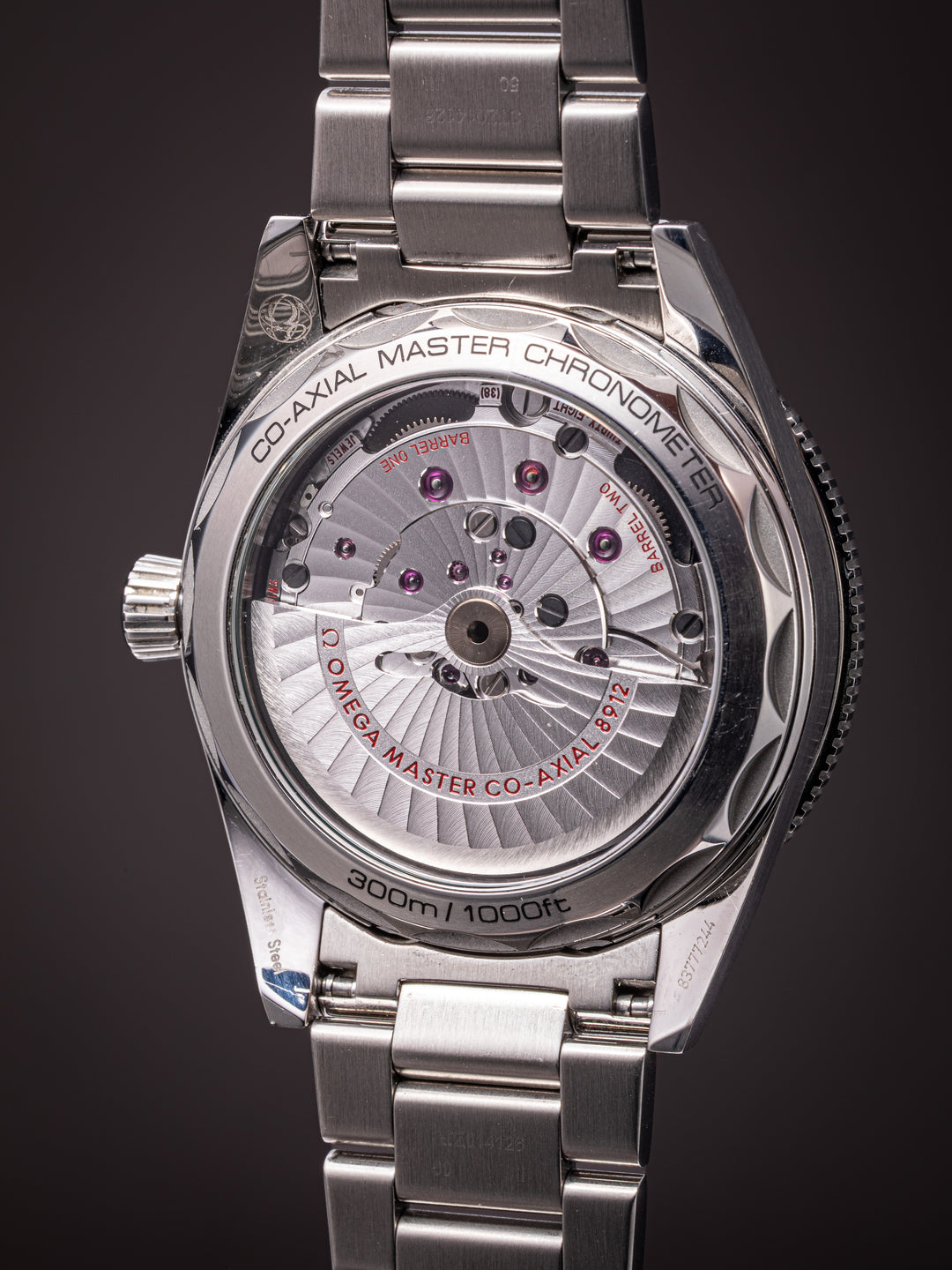 Omega Stainless Steel Seamaster 300 (234.30.41.21.03.001)