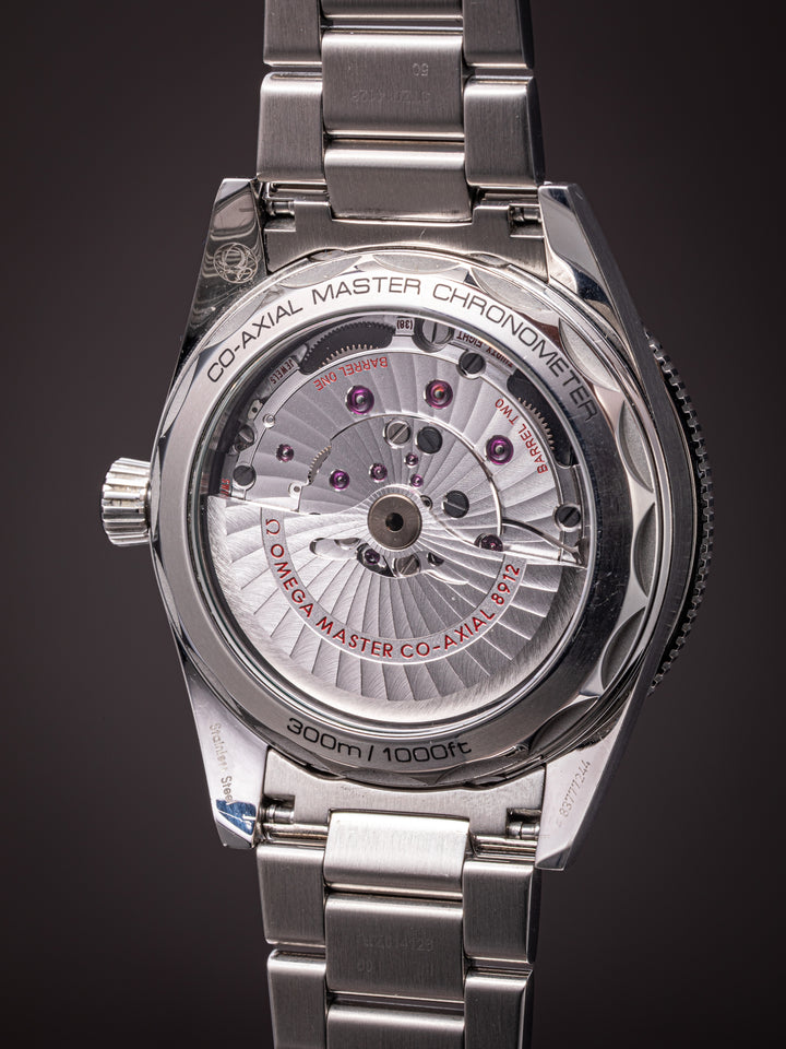 Omega Stainless Steel Seamaster 300 (234.30.41.21.03.001)