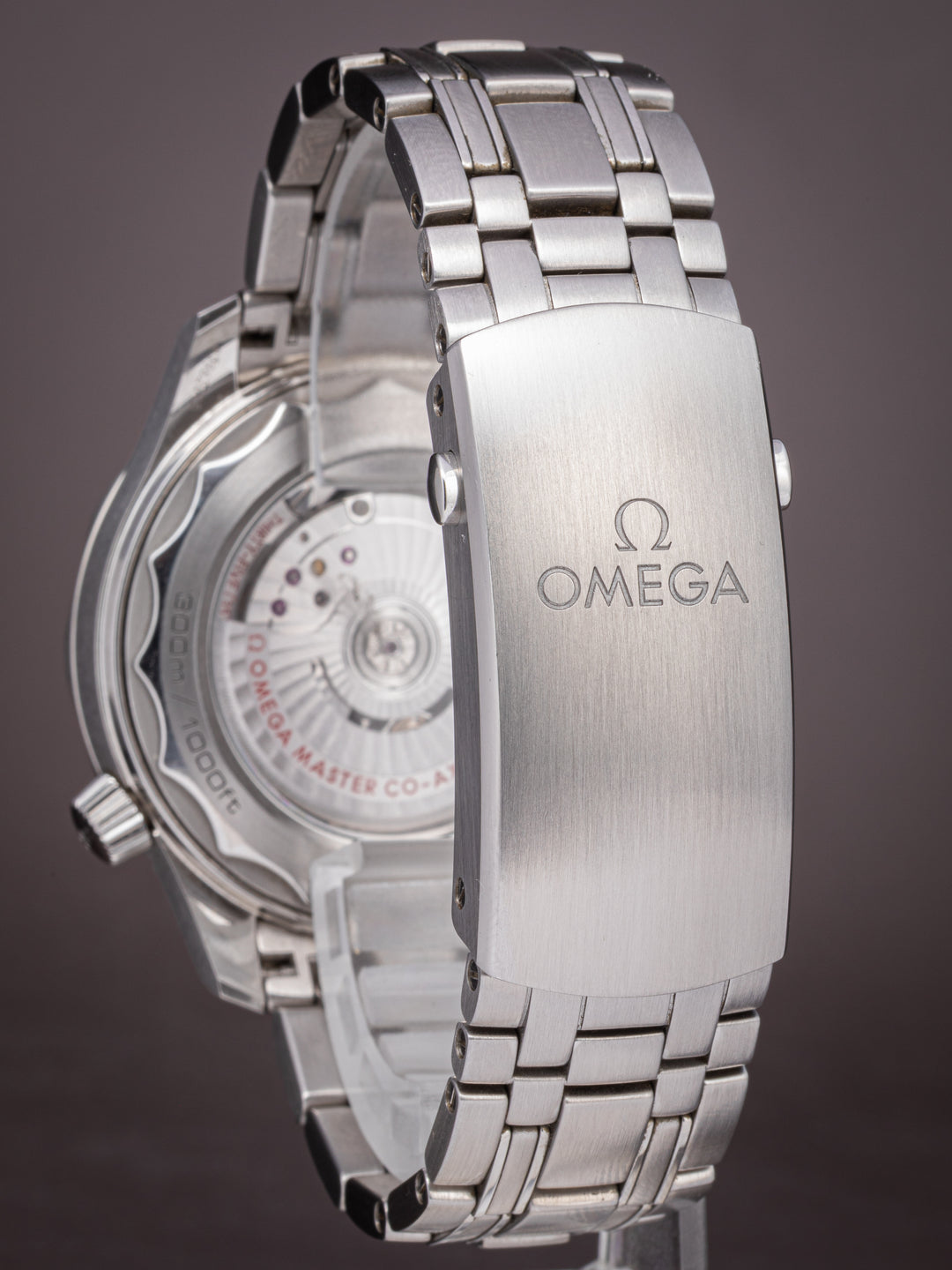 Omega Stainless Steel Seamaster Diver 300M (210.30.42.20.03.001)