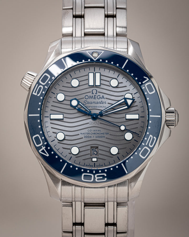 Omega Stainless Steel Seamaster 300M (210.30.42.20.06.001)