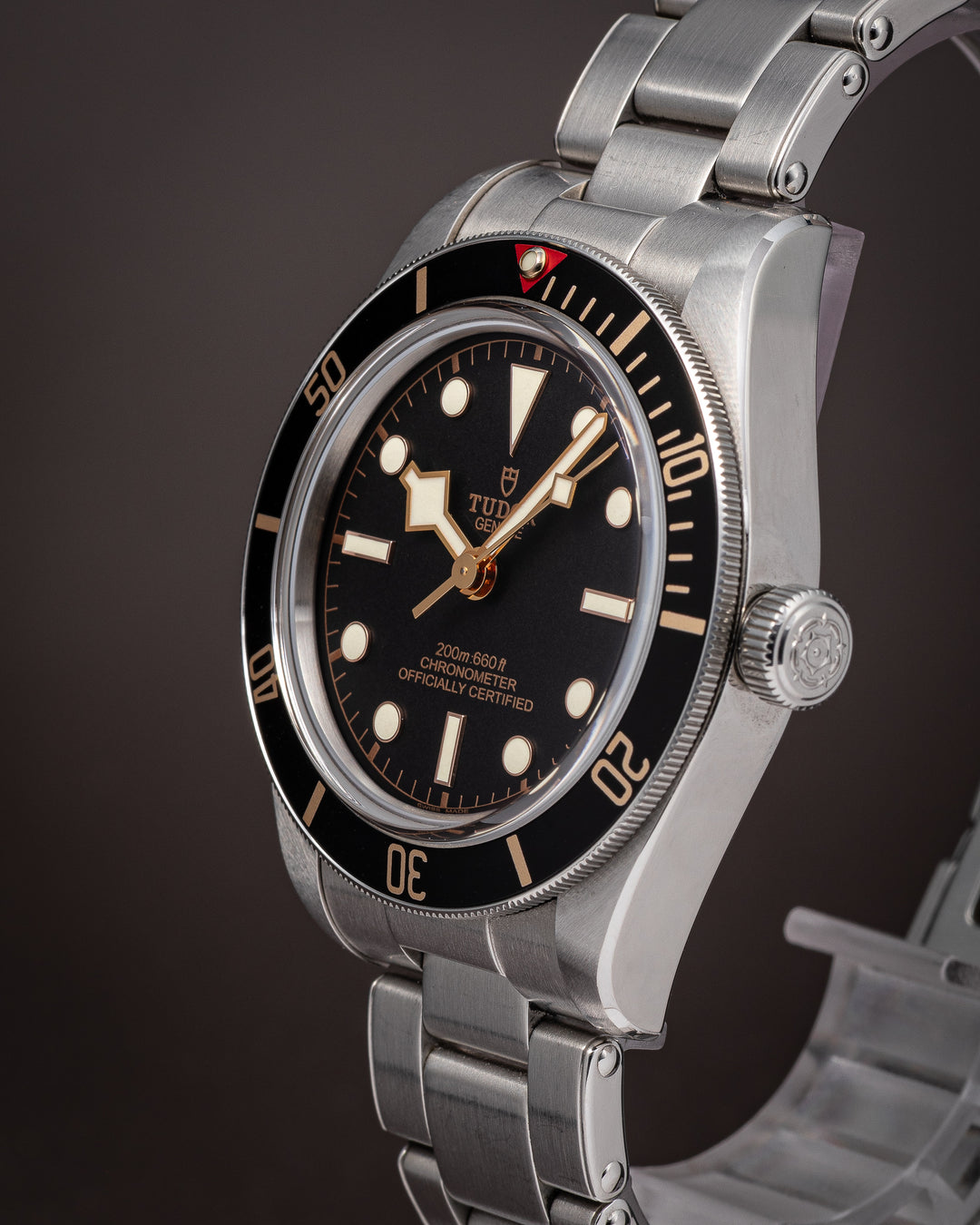 Tudor Stainless Steel Black Bay 58 (79030N)
