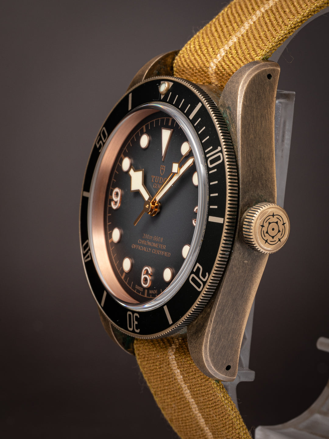 Tudor Bronze Black Bay 43 (79250B)