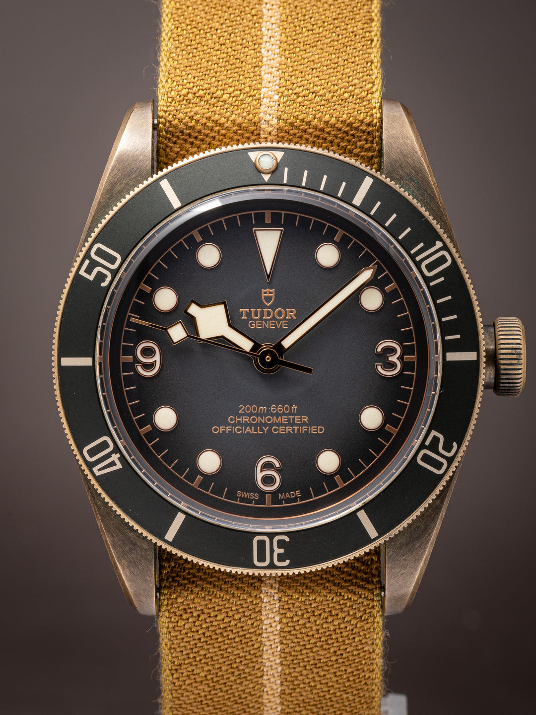 Tudor Bronze Black Bay 43 (79250B)