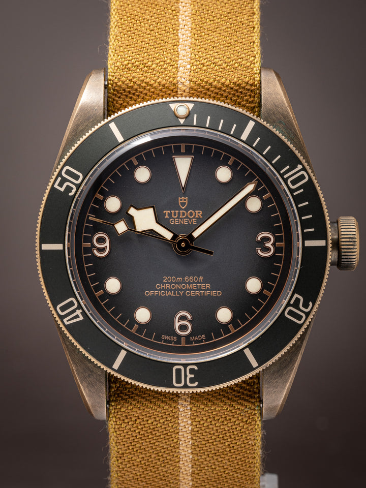 Tudor Bronze Black Bay 43 (79250B)
