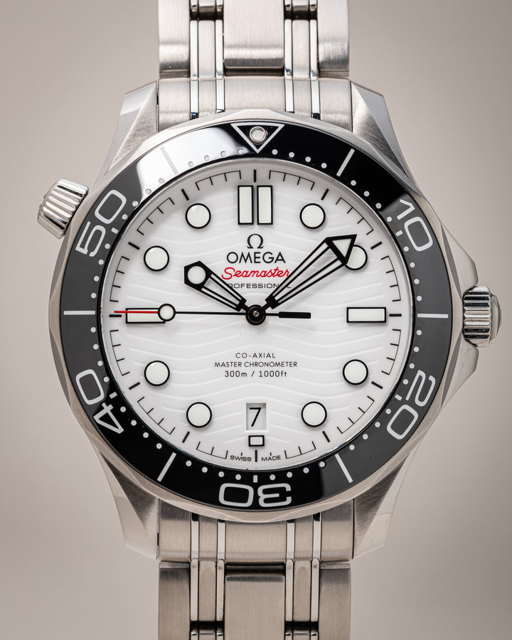 Omega Stainless Steel Seamaster 300M (210.30.42.20.04.001)