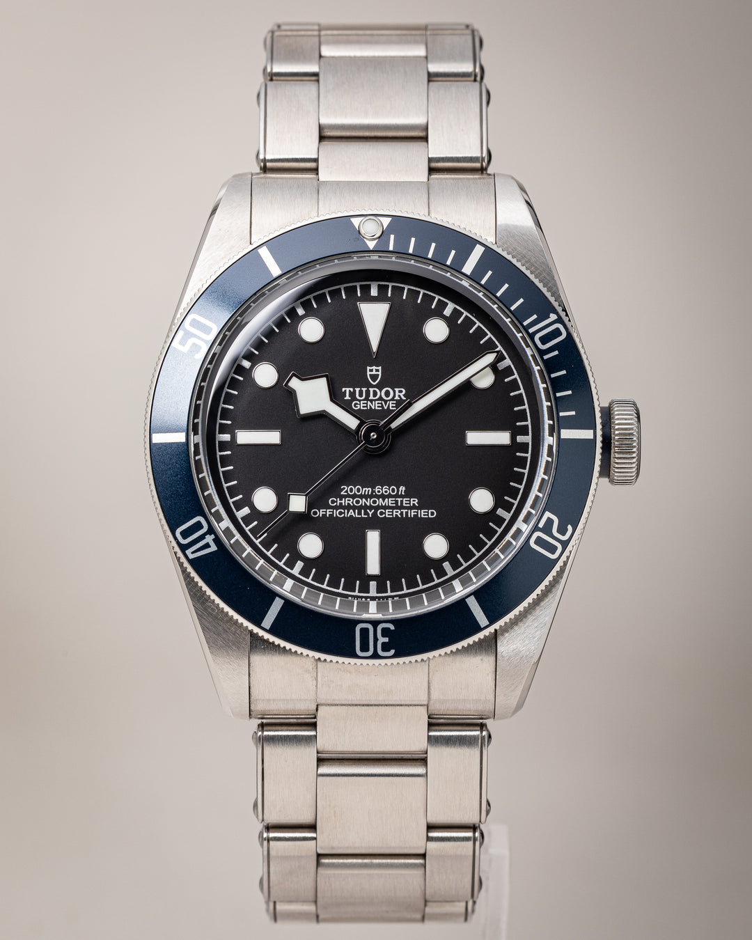 Tudor Stainless Steel Heritage Black Bay (79230B)