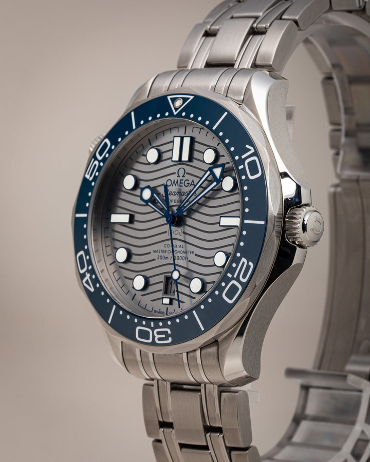 Omega Stainless Steel Seamaster Diver 300 (210.30.42.20.06.001) *Unworn*