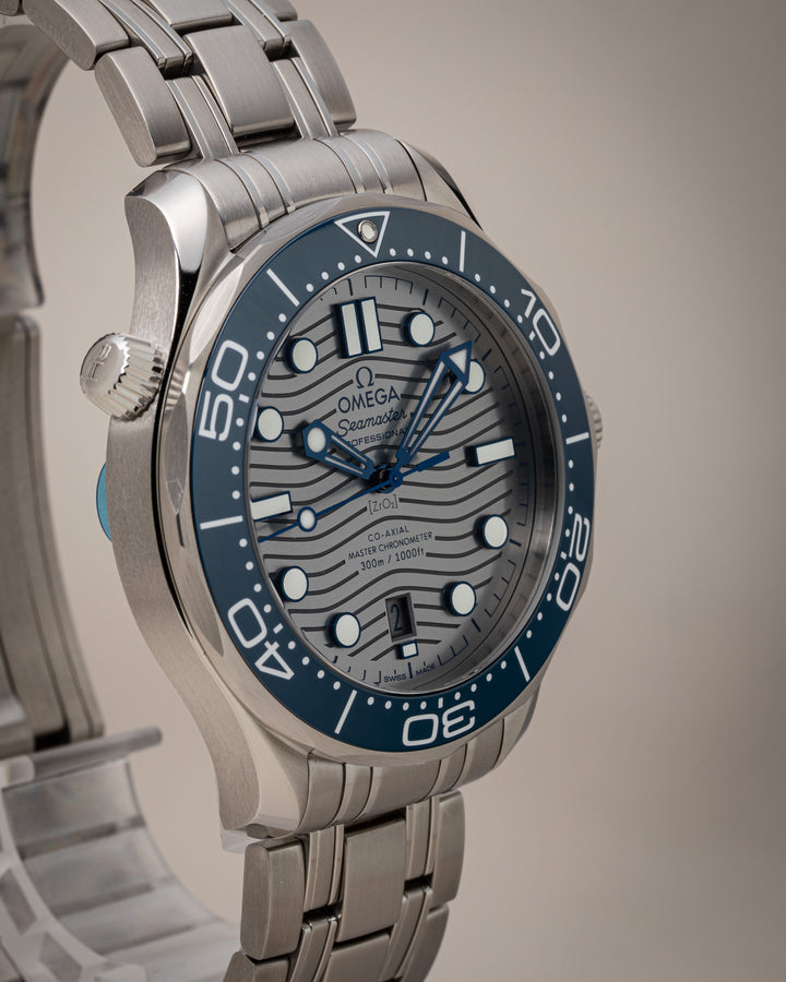 Omega Stainless Steel Seamaster Diver 300 (210.30.42.20.06.001) *Unworn*
