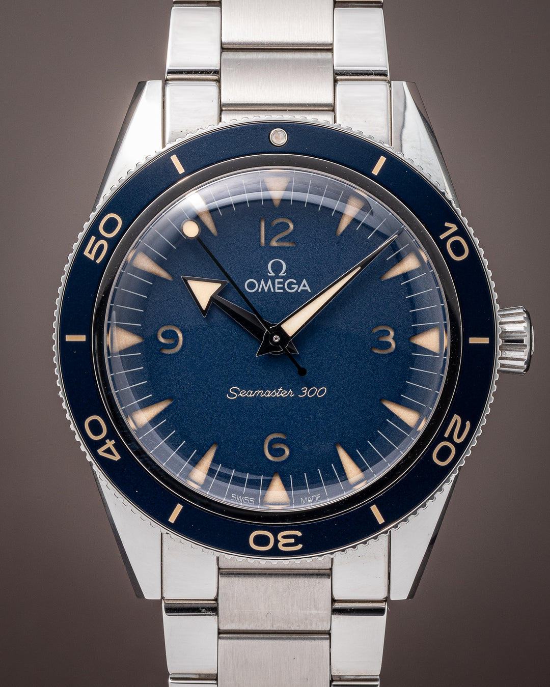 Omega Stainless Steel Seamaster 300 (234.30.41.21.03.001)