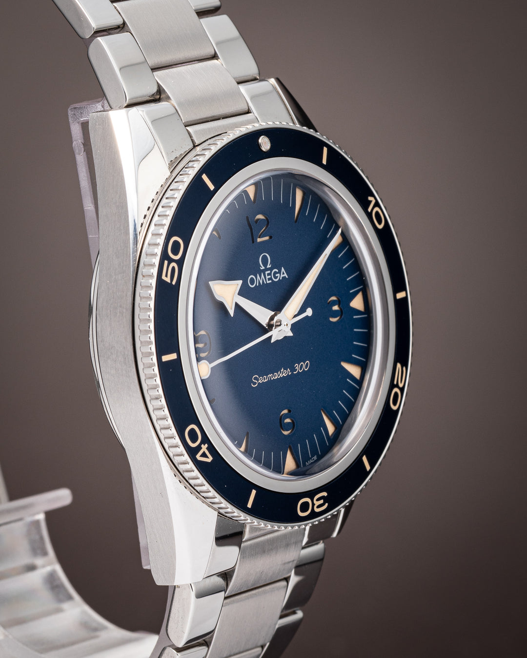 Omega Stainless Steel Seamaster 300 (234.30.41.21.03.001)
