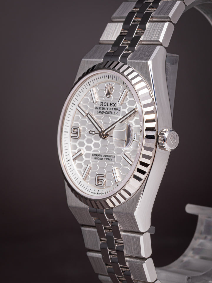 Rolex Stainless Steel Land-Dweller 36 (127234) *UNWORN*