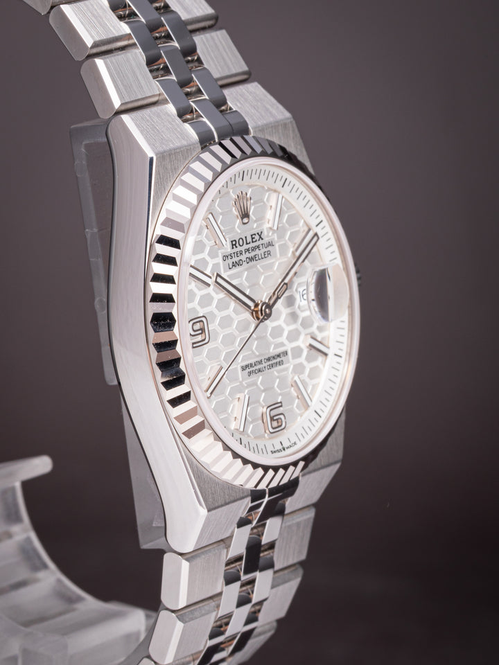 Rolex Stainless Steel Land-Dweller 36 (127234) *UNWORN*