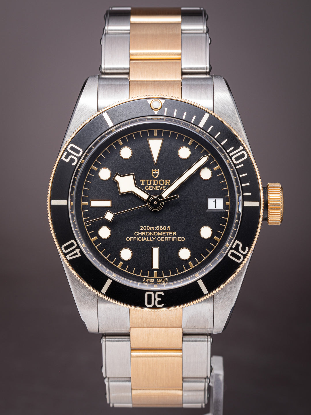 Tudor Heritage Black Bay S&G (79733N)