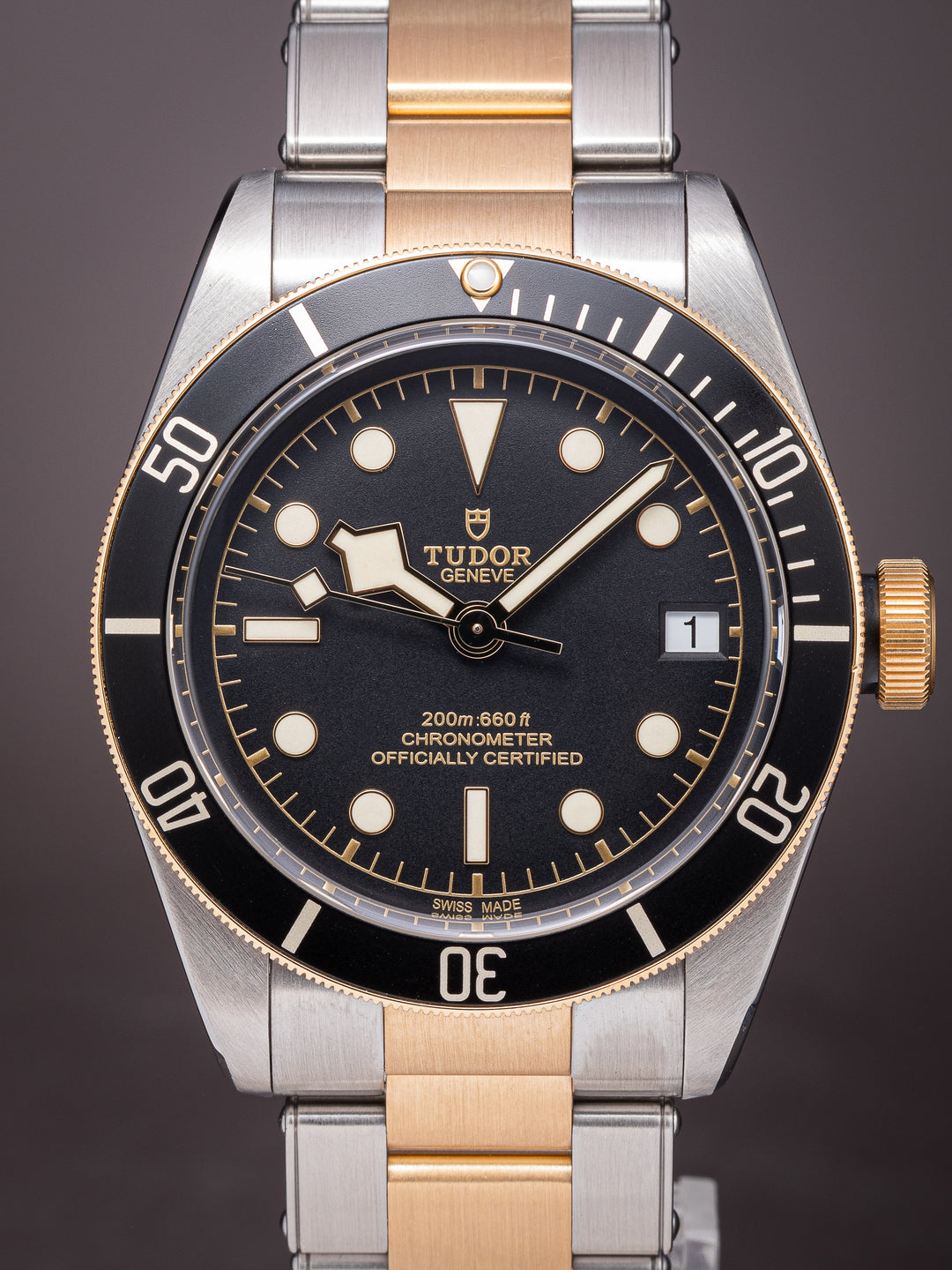 Tudor Heritage Black Bay S&G (79733N)
