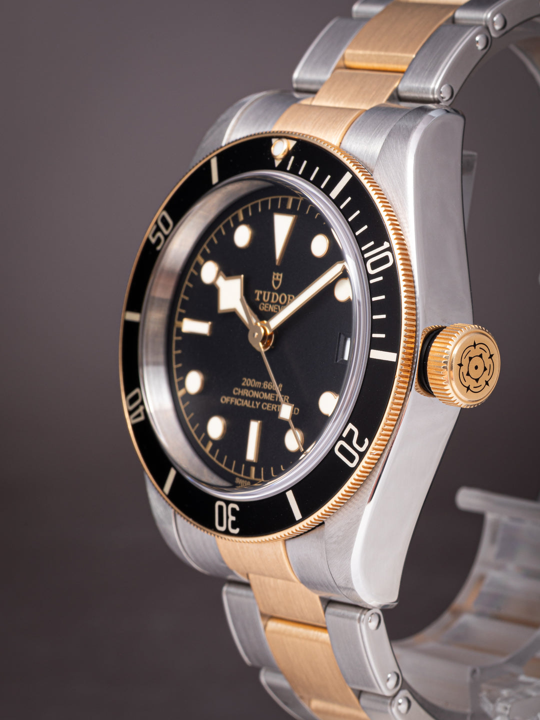Tudor Heritage Black Bay S&G (79733N)