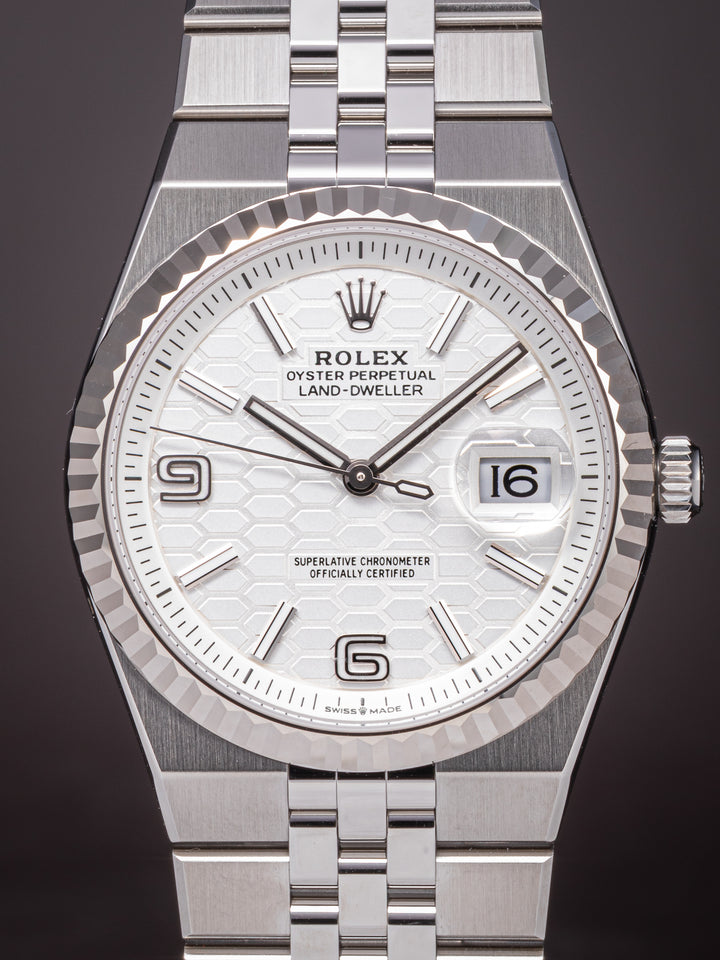 Rolex Stainless Steel Land-Dweller 36 (127234) *UNWORN*