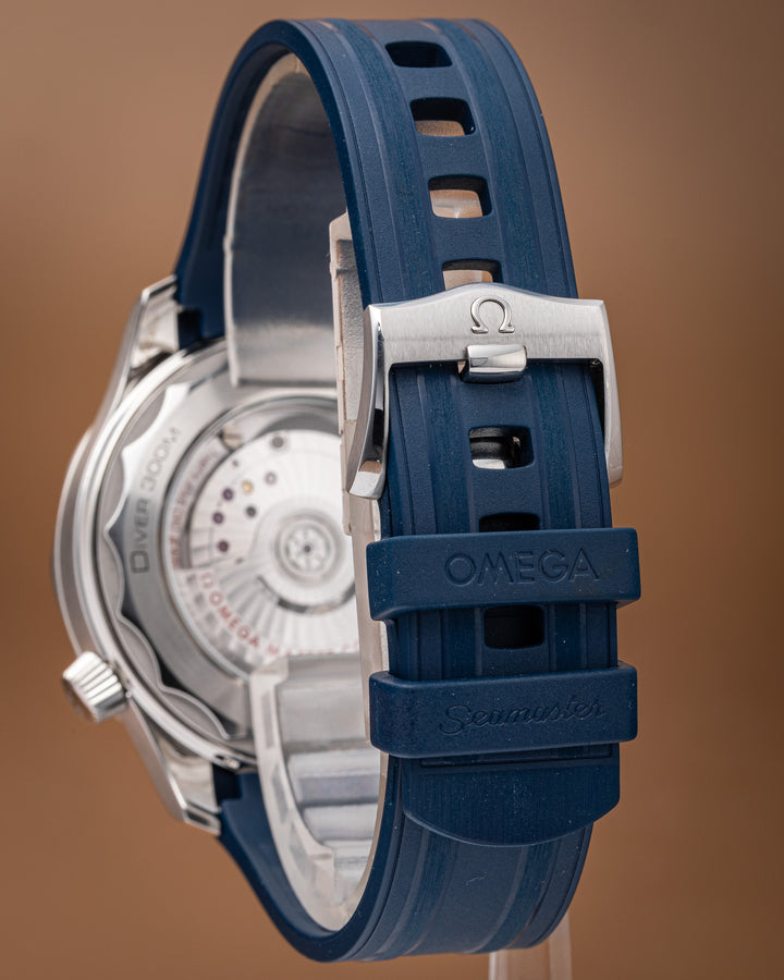 Omega Stainless Steel Seamaster Diver 300M (210.32.42.20.03.001)